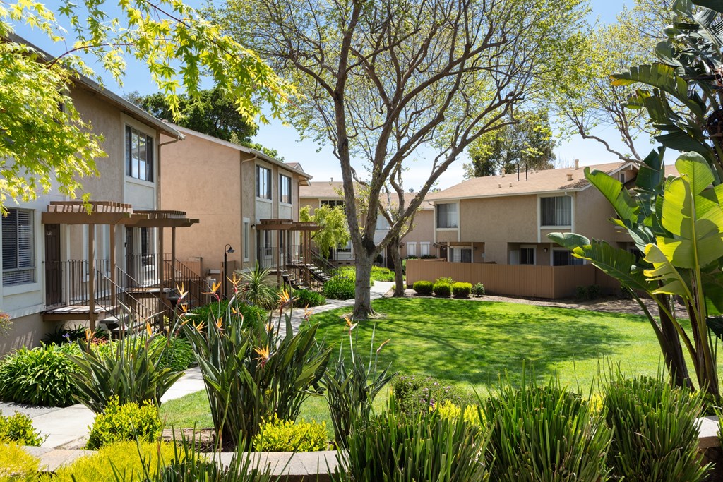 a grassy area with a tree in the middle of it